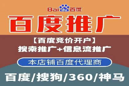 百度竞价推广在电商领域的赚钱案例